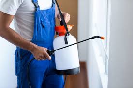 Best Pest Prevention Services  in Elkins, AR